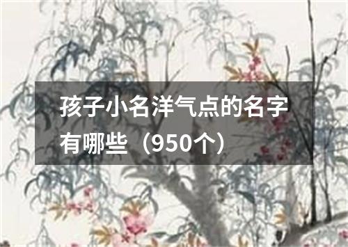 孩子小名洋气点的名字有哪些（950个）