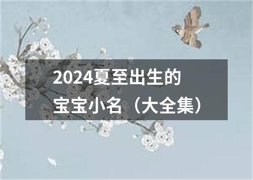 2024夏至出生的宝宝小名（大全集）