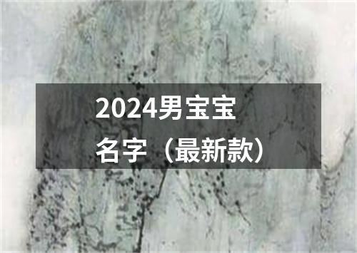 2024男宝宝名字（最新款）