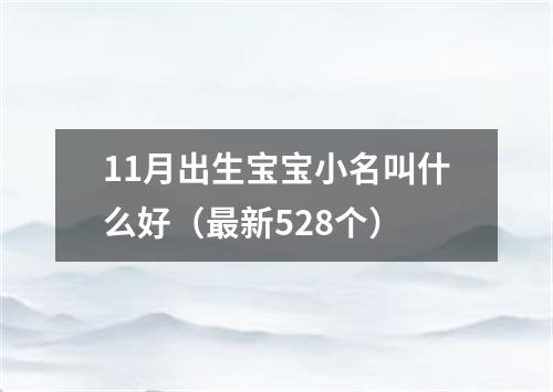 11月出生宝宝小名叫什么好（最新528个）