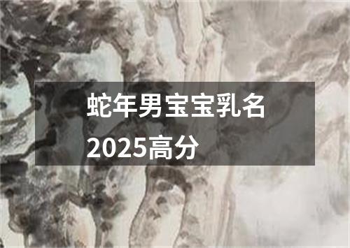 蛇年男宝宝乳名2025高分