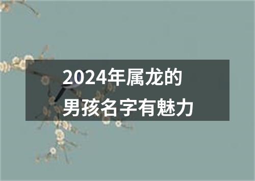 2024年属龙的男孩名字有魅力