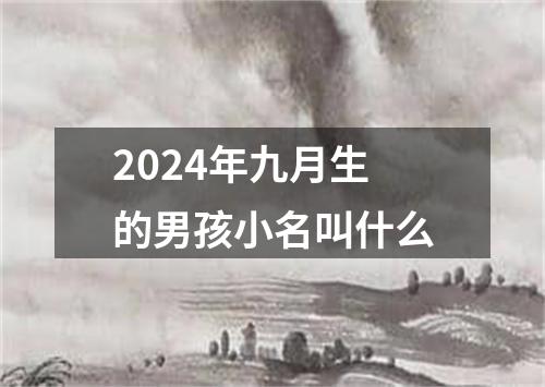 2024年九月生的男孩小名叫什么