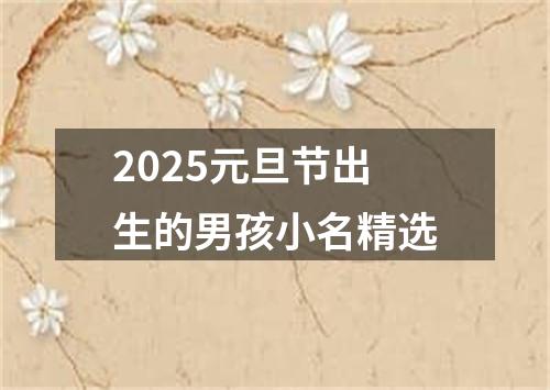 2025元旦节出生的男孩小名精选