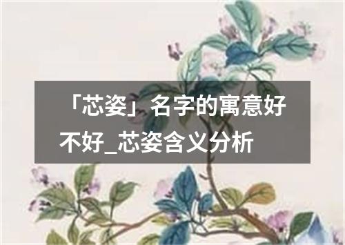 「芯姿」名字的寓意好不好_芯姿含义分析