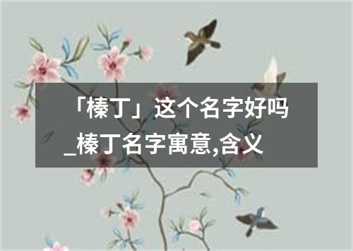 「榛丁」这个名字好吗_榛丁名字寓意,含义