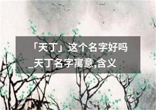 「天丁」这个名字好吗_天丁名字寓意,含义