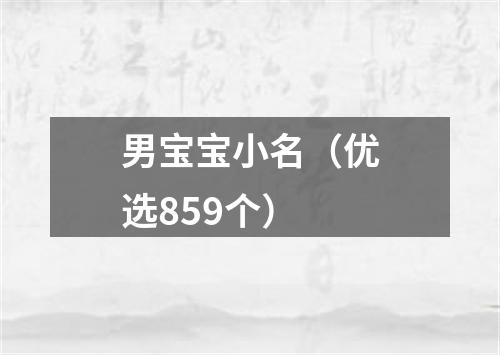 男宝宝小名（优选859个）