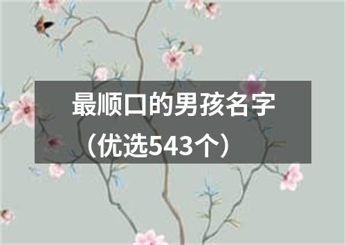 最顺口的男孩名字（优选543个）