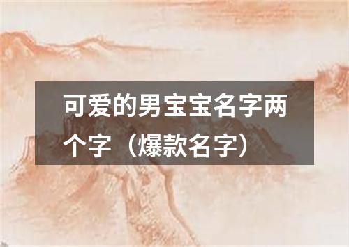 可爱的男宝宝名字两个字（爆款名字）