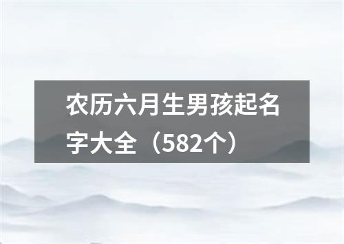 农历六月生男孩起名字大全（582个）