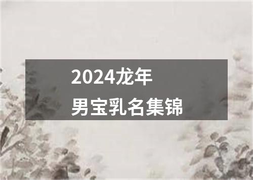 2024龙年男宝乳名集锦