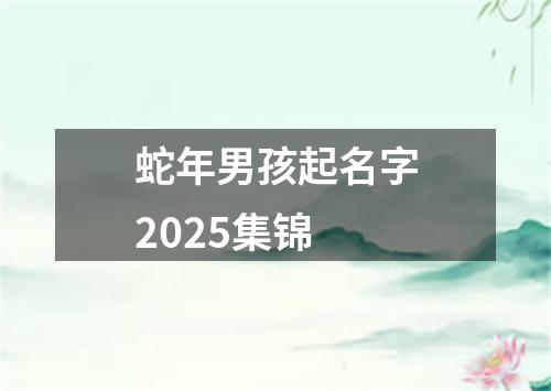 蛇年男孩起名字2025集锦