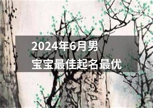 2024年6月男宝宝最佳起名最优