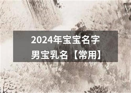 2024年宝宝名字男宝乳名【常用】