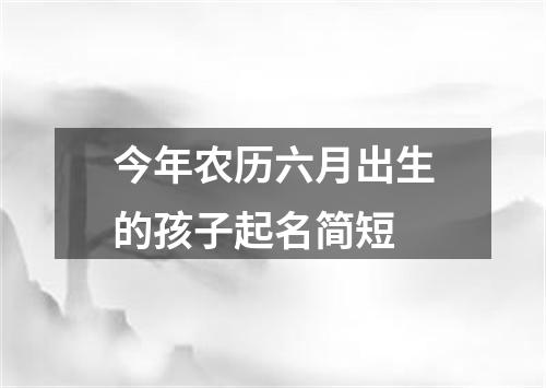 今年农历六月出生的孩子起名简短