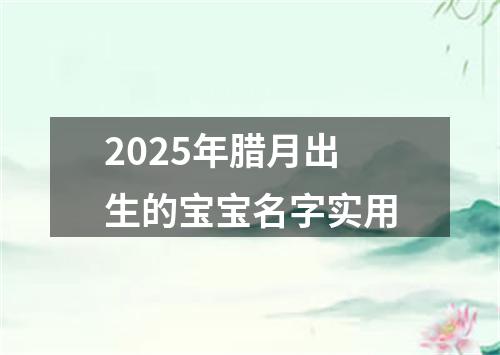 2025年腊月出生的宝宝名字实用