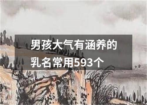 男孩大气有涵养的乳名常用593个