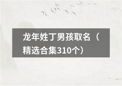 龙年姓丁男孩取名（精选合集310个）