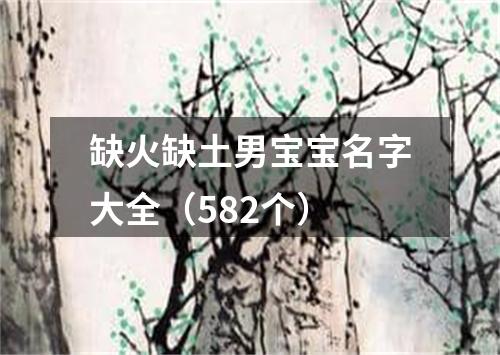 缺火缺土男宝宝名字大全（582个）