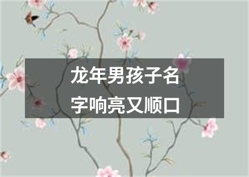 龙年男孩子名字响亮又顺口