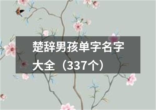 楚辞男孩单字名字大全（337个）