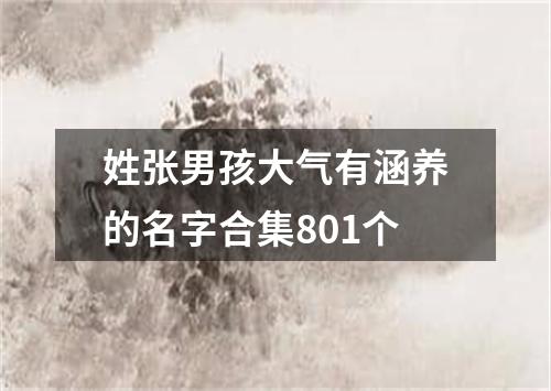 姓张男孩大气有涵养的名字合集801个