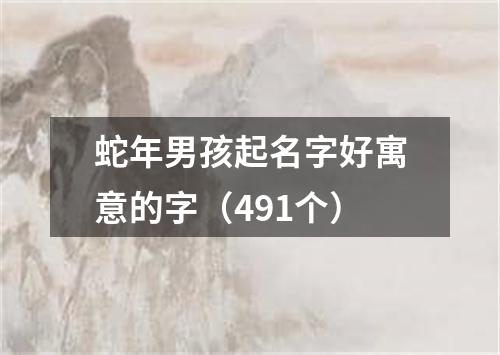 蛇年男孩起名字好寓意的字（491个）