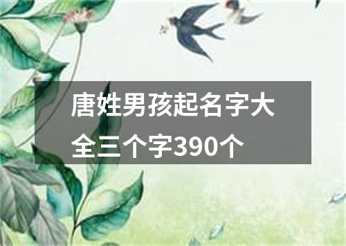 唐姓男孩起名字大全三个字390个