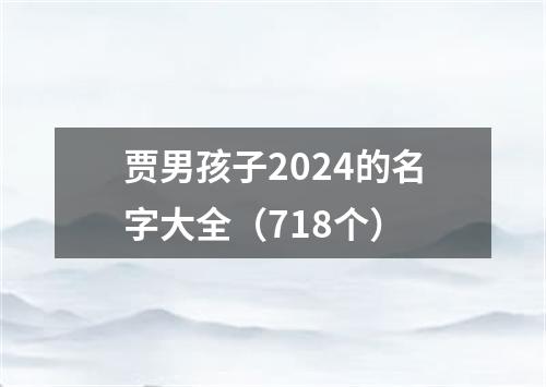 贾男孩子2024的名字大全（718个）