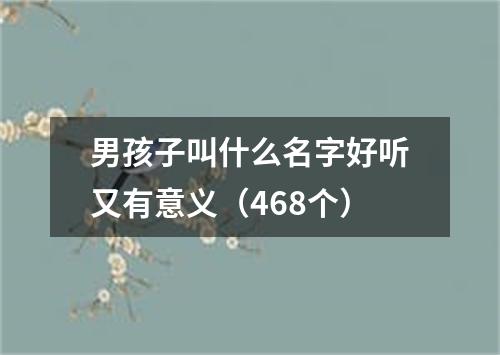 男孩子叫什么名字好听又有意义（468个）