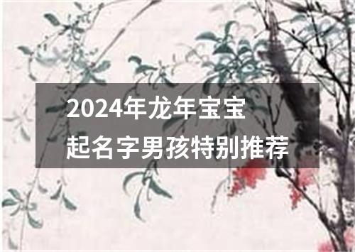 2024年龙年宝宝起名字男孩特别推荐