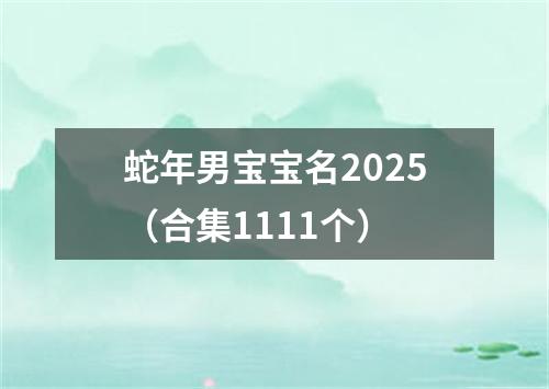 蛇年男宝宝名2025（合集1111个）