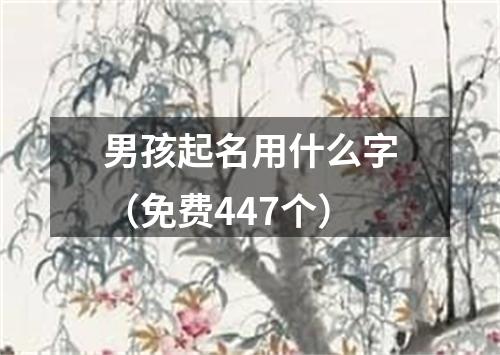 男孩起名用什么字（免费447个）