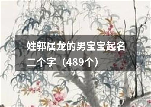 姓郭属龙的男宝宝起名二个字（489个）