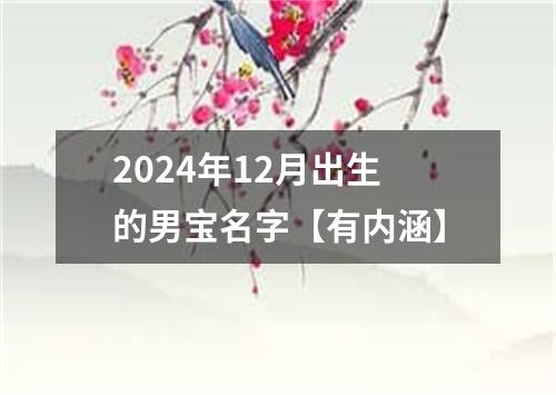 2024年12月出生的男宝名字【有内涵】