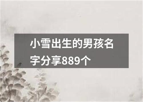 小雪出生的男孩名字分享889个