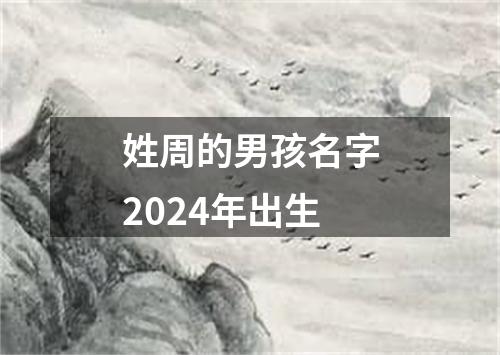 姓周的男孩名字2024年出生