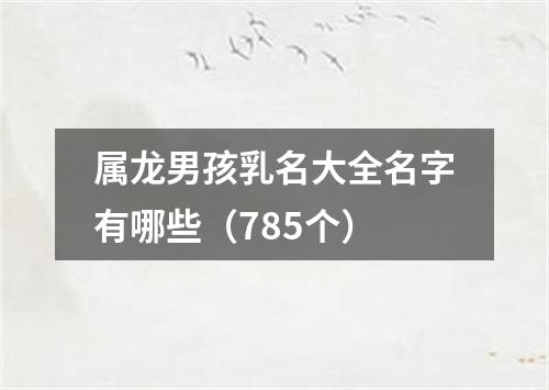 属龙男孩乳名大全名字有哪些（785个）