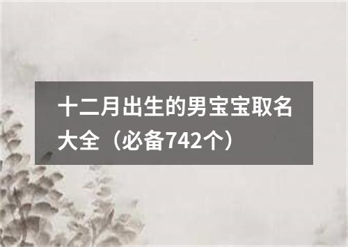 十二月出生的男宝宝取名大全（必备742个）