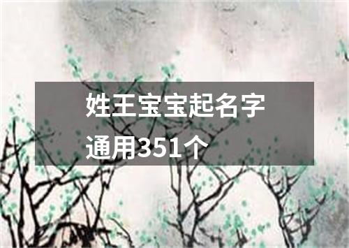 姓王宝宝起名字通用351个