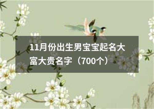 11月份出生男宝宝起名大富大贵名字（700个）