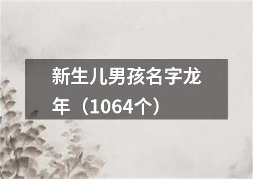 新生儿男孩名字龙年（1064个）