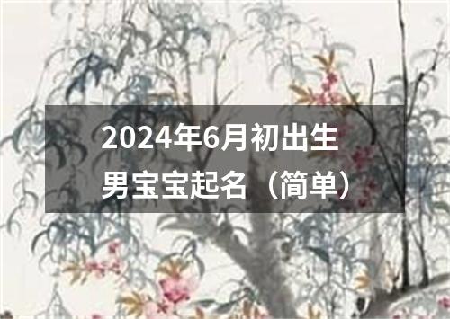 2024年6月初出生男宝宝起名（简单）