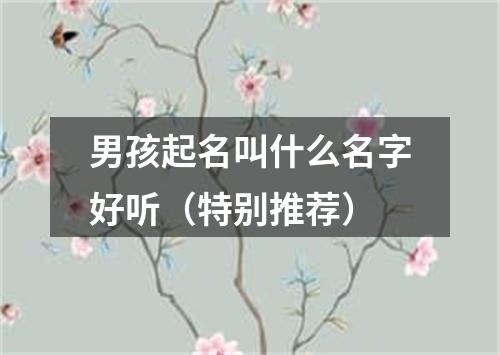 男孩起名叫什么名字好听（特别推荐）