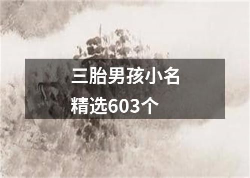 三胎男孩小名精选603个