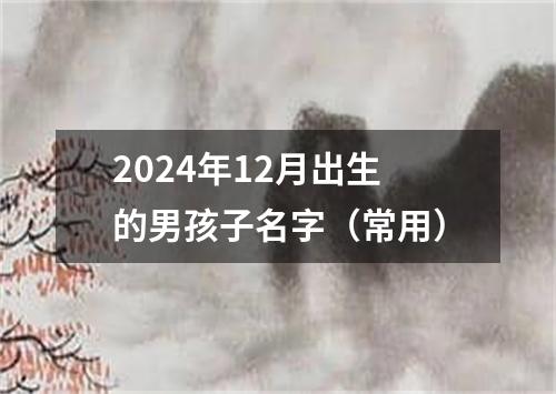 2024年12月出生的男孩子名字（常用）