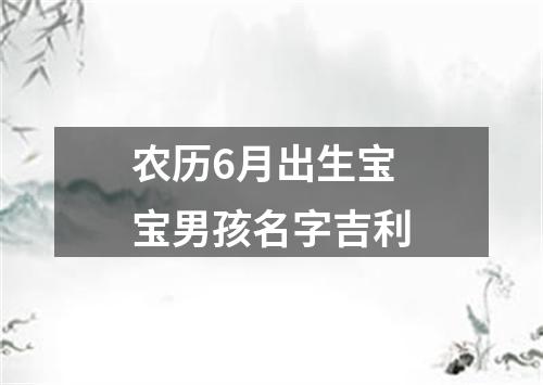 农历6月出生宝宝男孩名字吉利