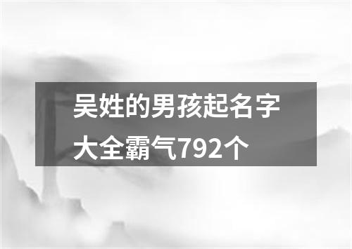 吴姓的男孩起名字大全霸气792个