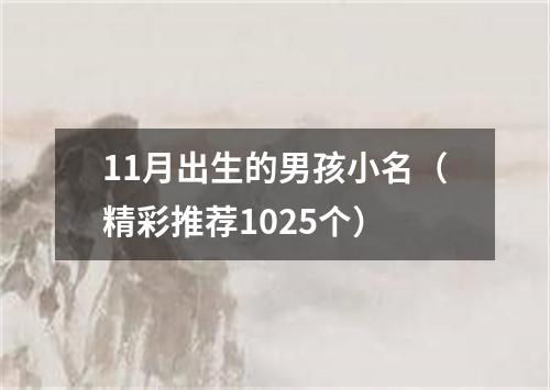 11月出生的男孩小名（精彩推荐1025个）